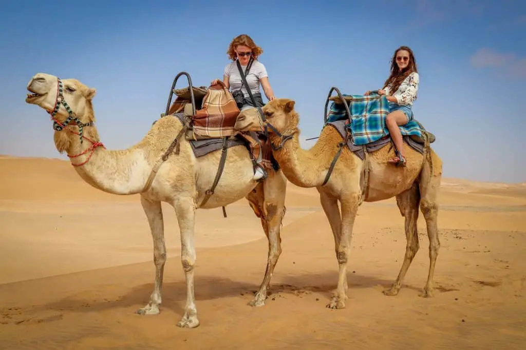 Two ladies sat on camels in the desert